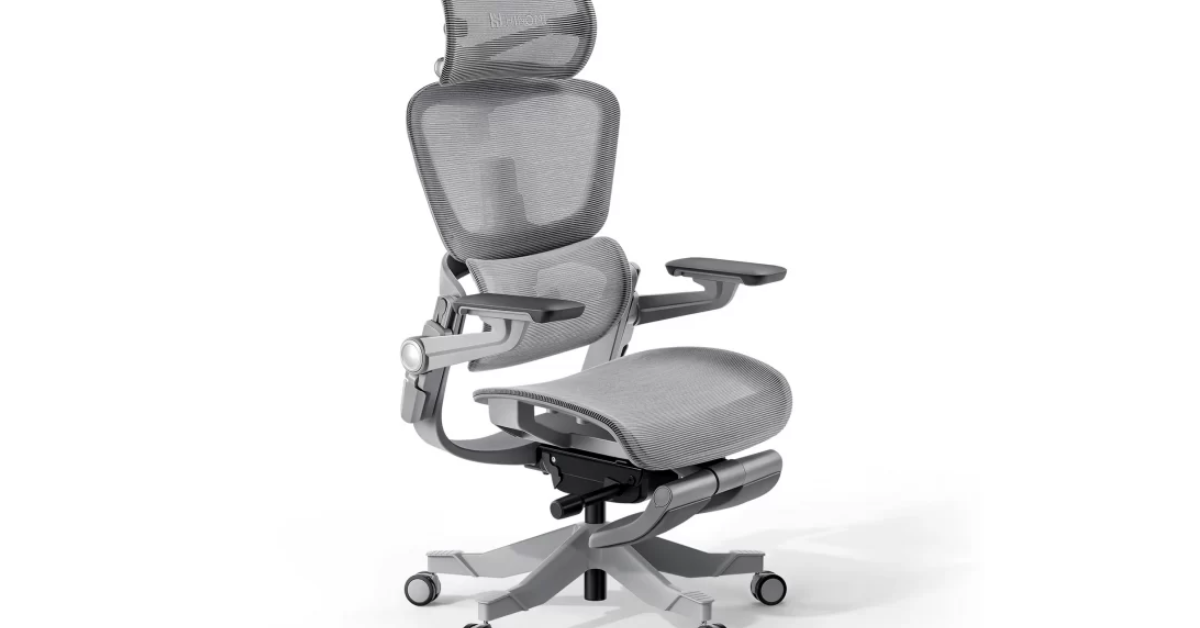 Ergomeister Chair Review