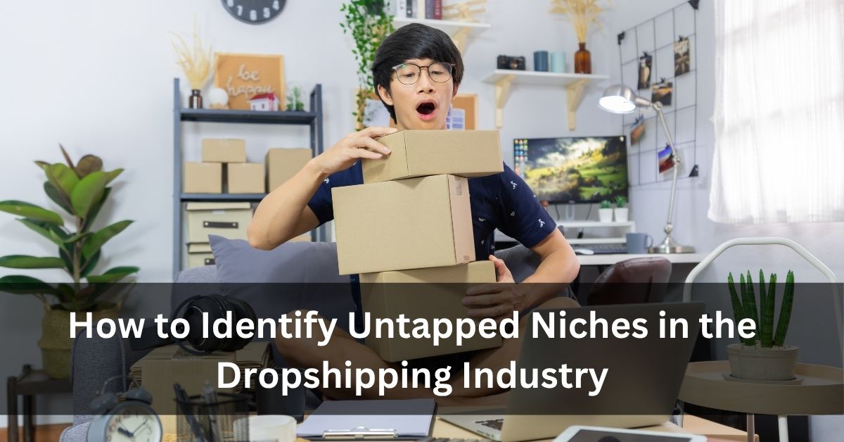 How to Identify Untapped Niches in the Dropshipping Industry