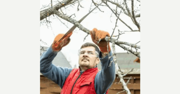Choosing the Right Tree Trimming Company for Your Landscaping Needs