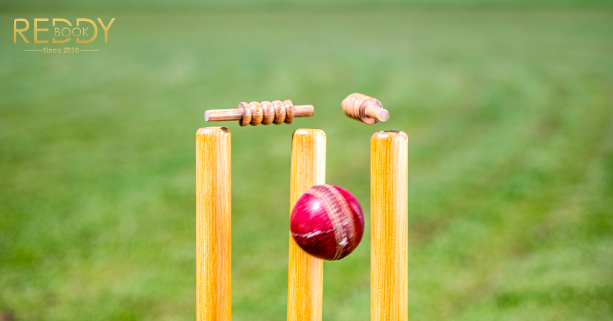 When Should You Use Reddybook to Stay Ahead with the Latest Sports Trends?