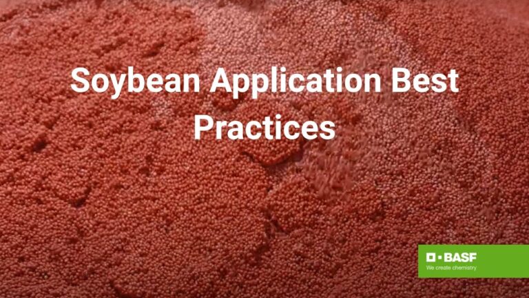 Understanding the Impact of Reddy Book Win: A Comprehensive Overview